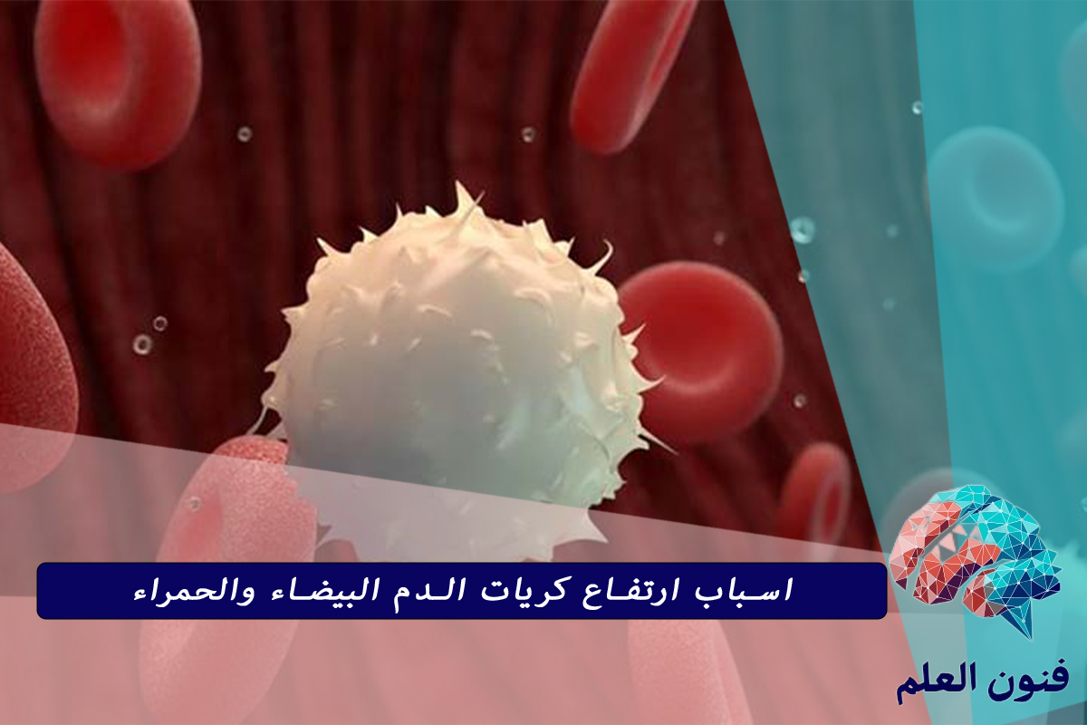 اسباب ارتفاع كريات الدم البيضاء والحمراء