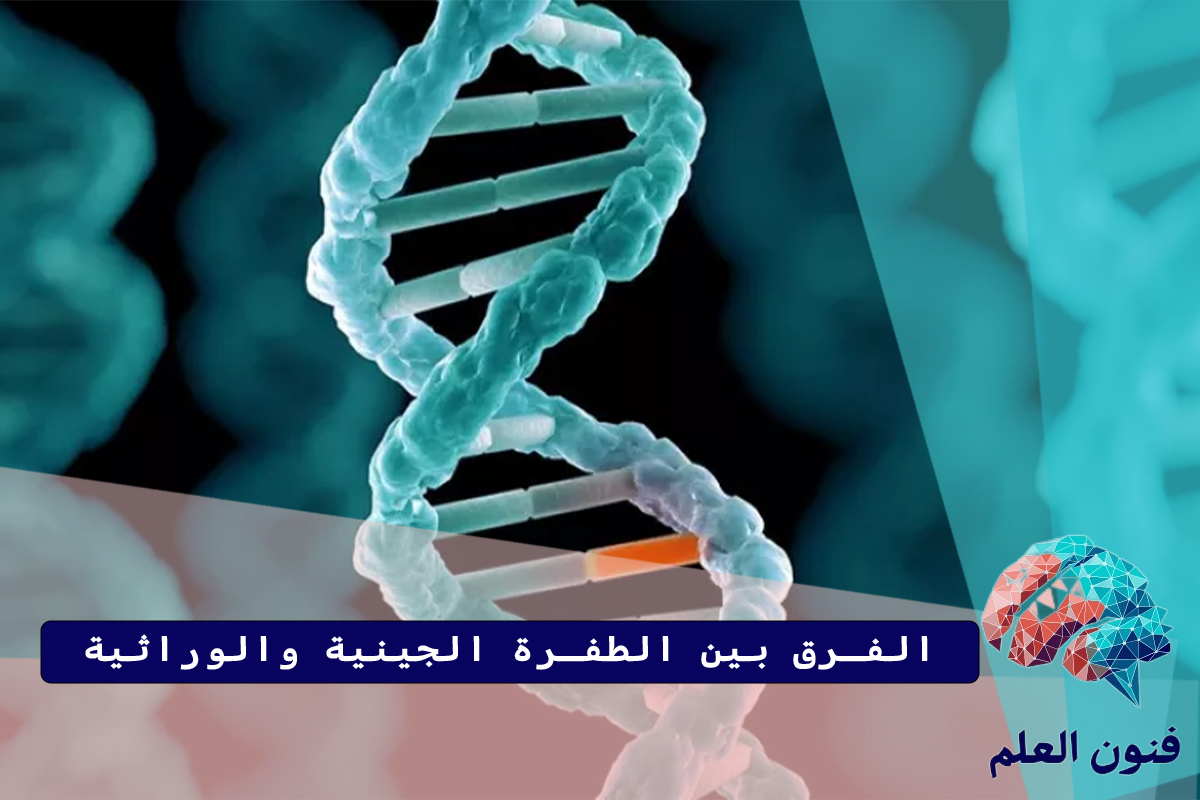 الفرق بين الطفرة الجينية والوراثية