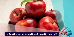 كم عدد السعرات الحرارية في التفاح
