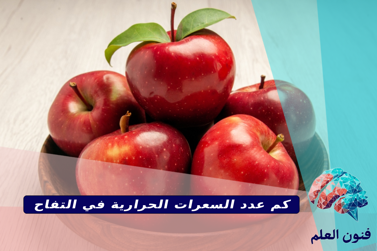 كم عدد السعرات الحرارية في التفاح