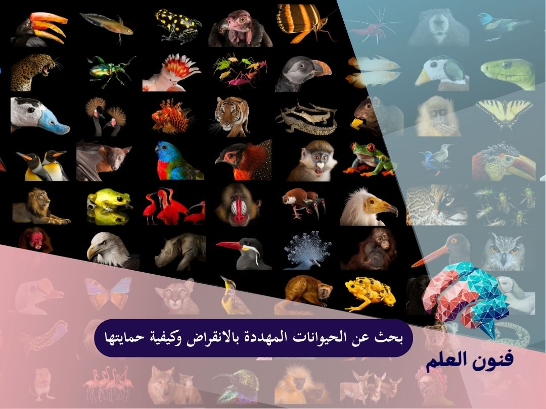بحث عن الحيوانات المهددة بالانقراض وكيفية حمايتها