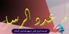 كم عدد الرسل الذين أرسلهم الله لنشر الإسلام