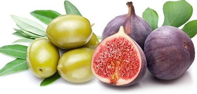 نباتات ذُكرت في القرآن الكريم