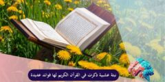 نبتة عشبية ذكرت في القرآن الكريم لها فوائد عديدة
